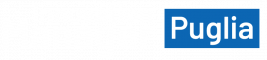 Manager dell'Innovazione Puglia
